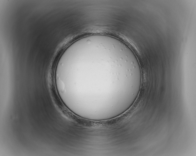 X0000112200682200908071243