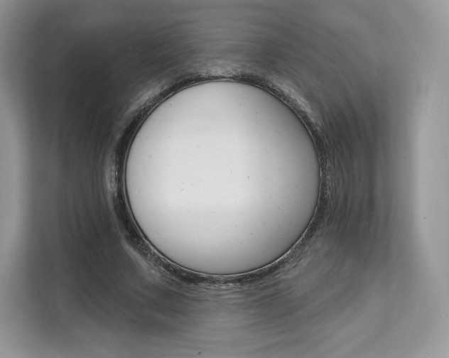X0000112200683200908071243