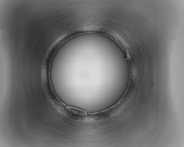 X0000112200684200908071243