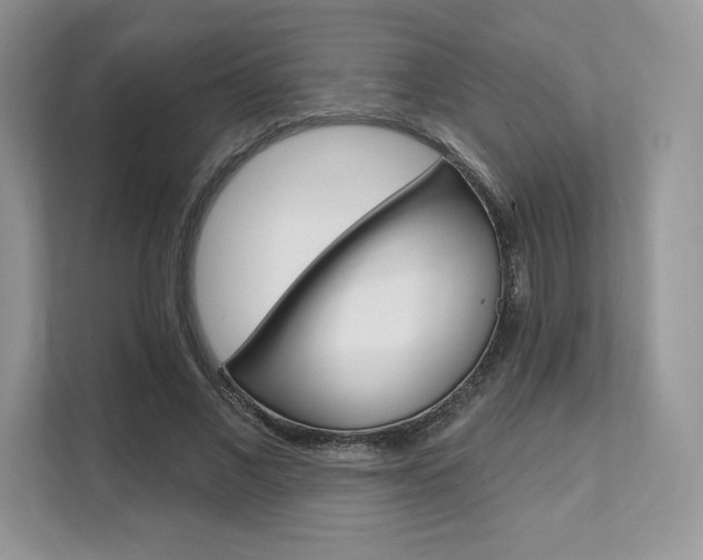 X0000112200685200908071243