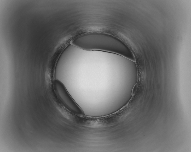 X0000112200688200908071243
