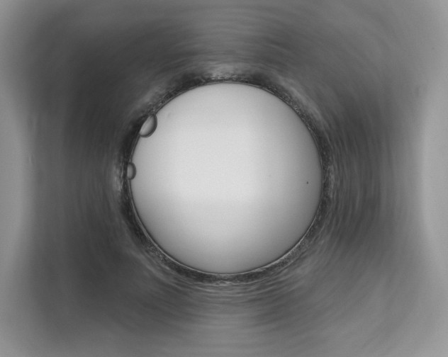 X0000112200691200908071243