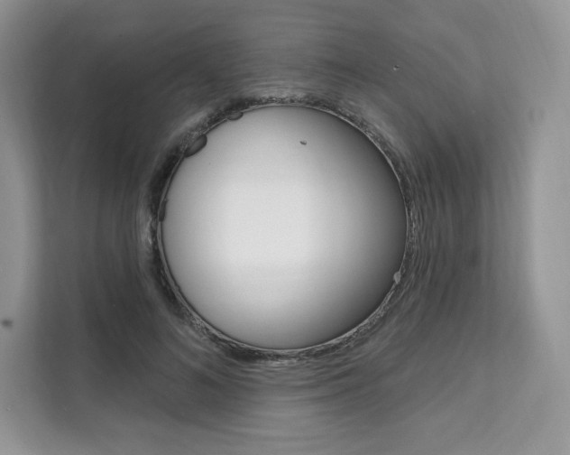 X0000112200692200908071243