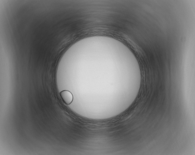 X0000112200696200908071243