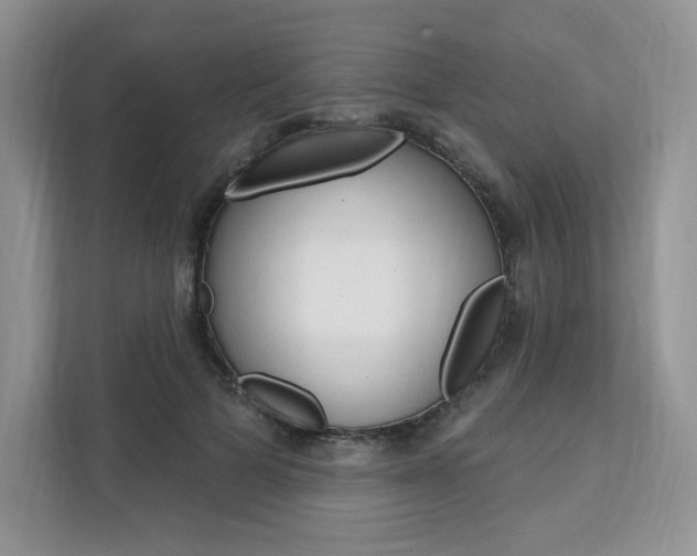 X0000112200697200908071243
