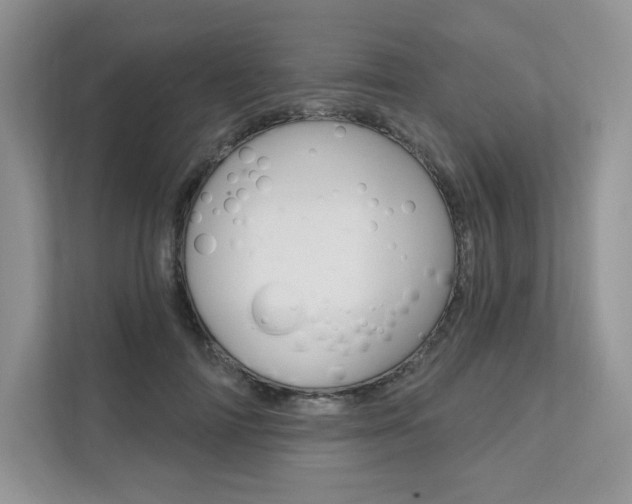 X0000112200698200908071243