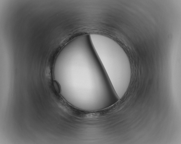 X0000112200700200908071243