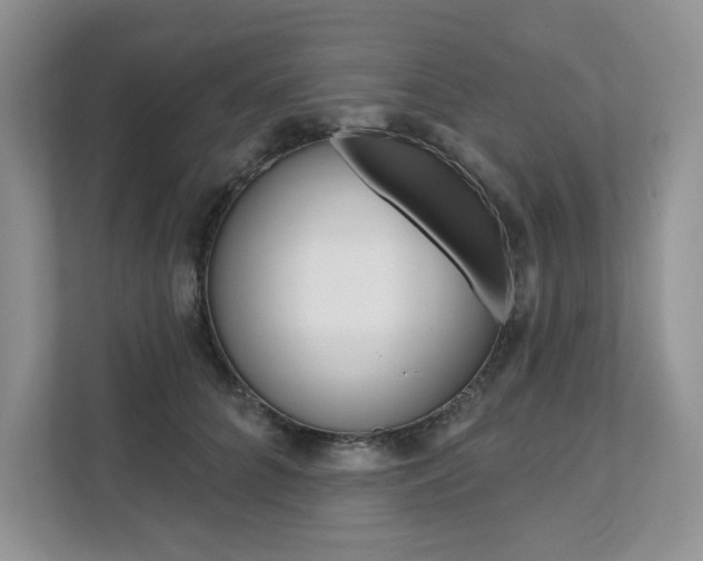 X0000112200704200908071243