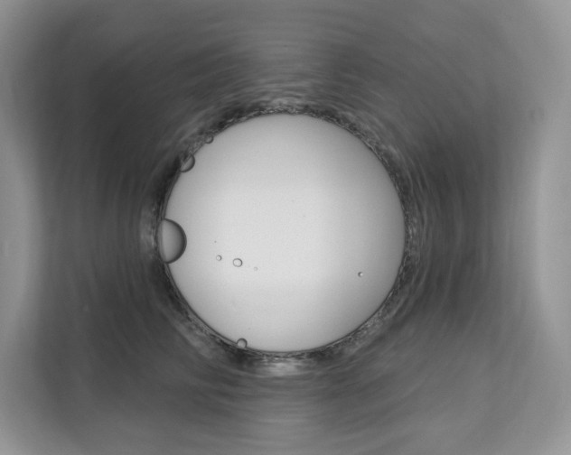 X0000112200710200908071243