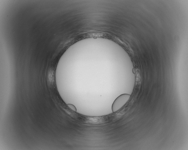 X0000112200713200908071243
