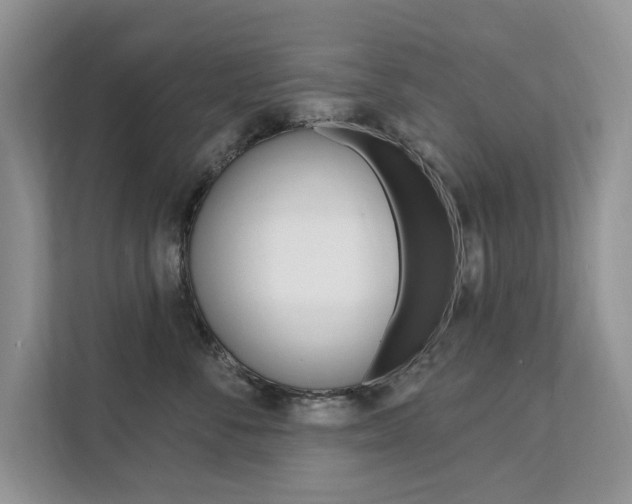 X0000112200716200908071243