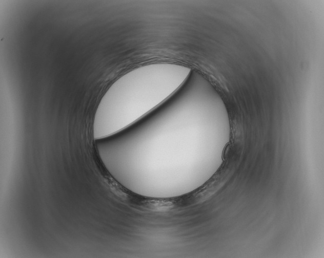 X0000112200719200908071243