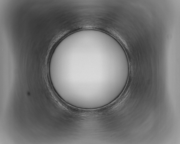 X0000112200721200908071242