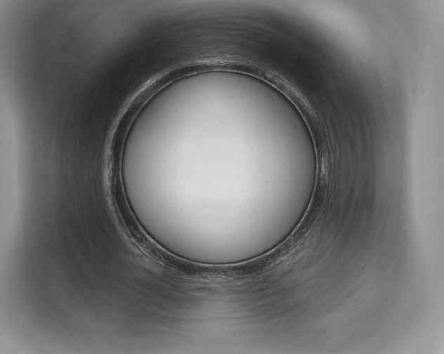 X0000112200724200908071242