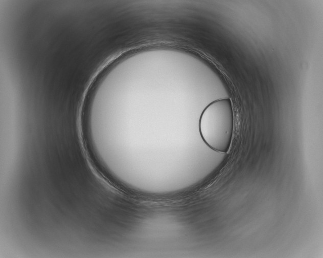 X0000112200726200908071242