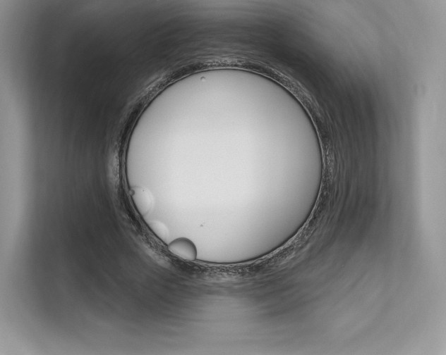 X0000112200729200908071242