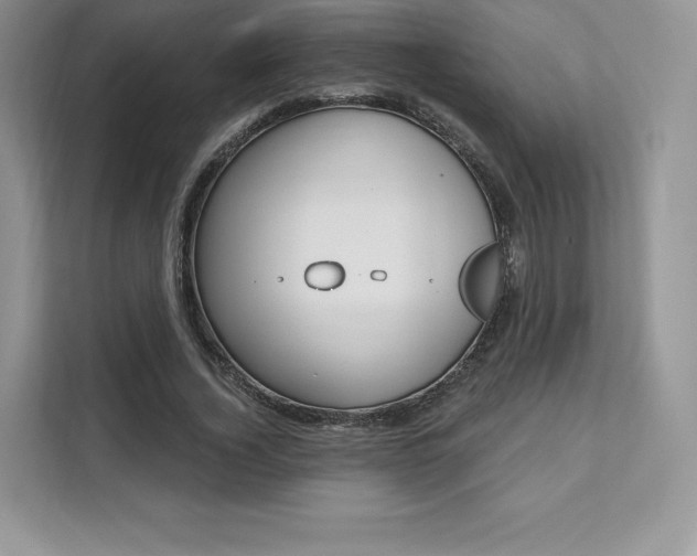 X0000112200732200908071242