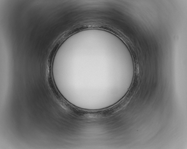 X0000112200733200908071242