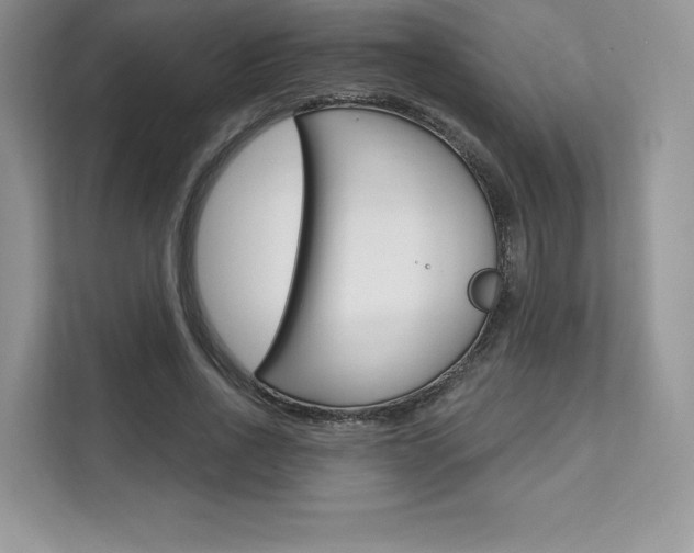 X0000112200734200908071242