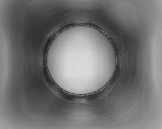 X0000112200735200908071242