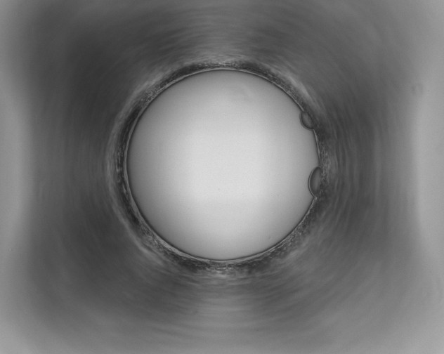 X0000112200736200908071242