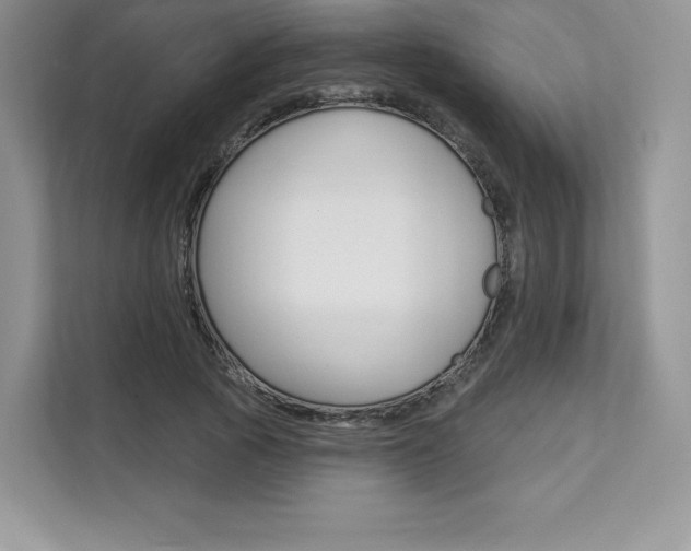 X0000112200737200908071242