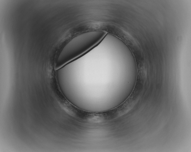 X0000112200750200908071243