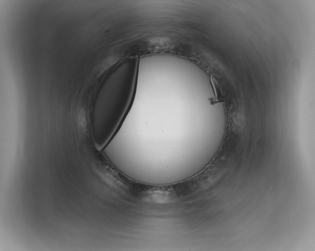 X0000112200756200908071243