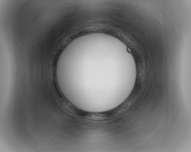 X0000112200758200908071243