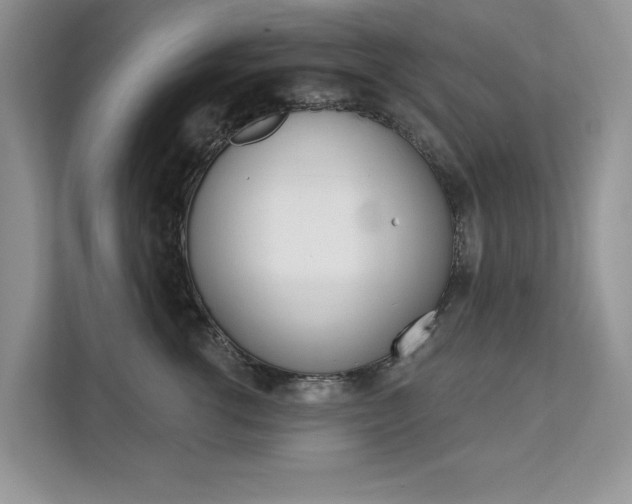 X0000112200762200908071243