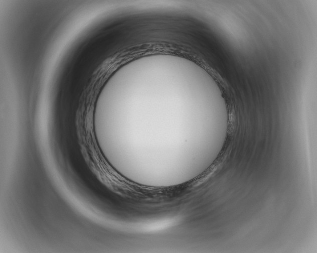 X0000112200765200908071243