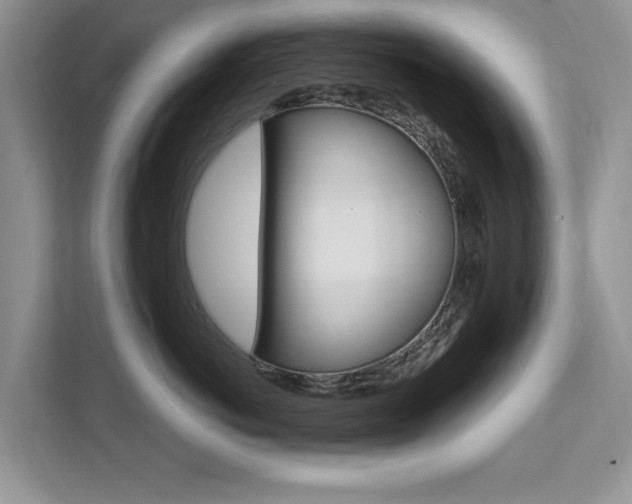 X0000112200766200908071243