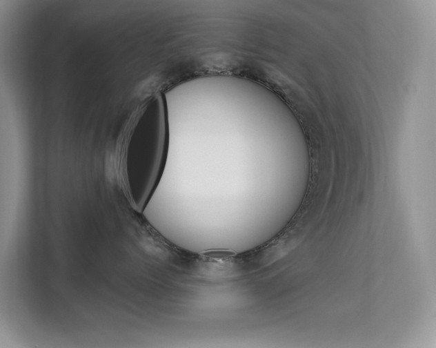 X0000112200768200908071243