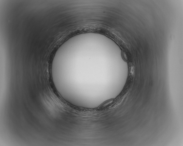 X0000112200771200908071242