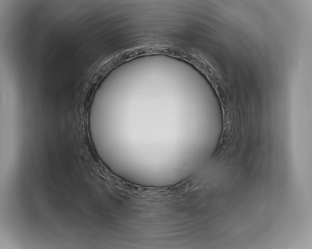 X0000112200773200908071242