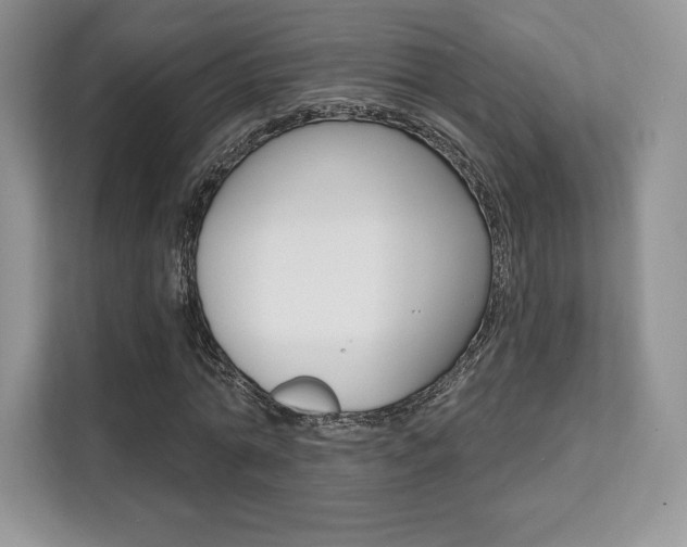 X0000112200774200908071242