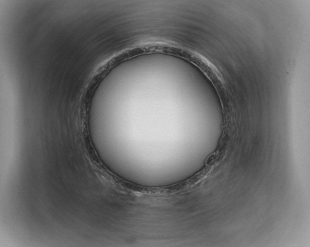 X0000112200775200908071242
