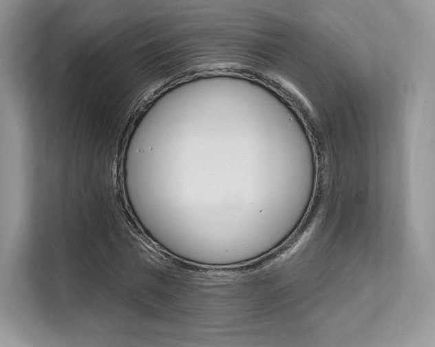X0000112200777200908071242