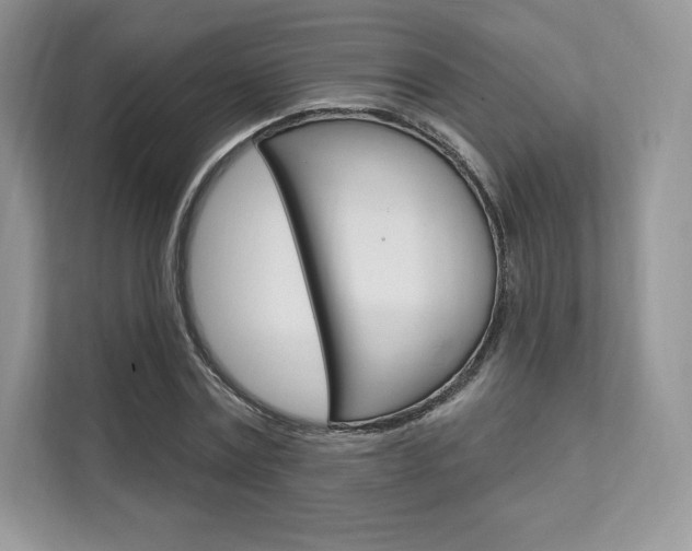 X0000112200779200908071242