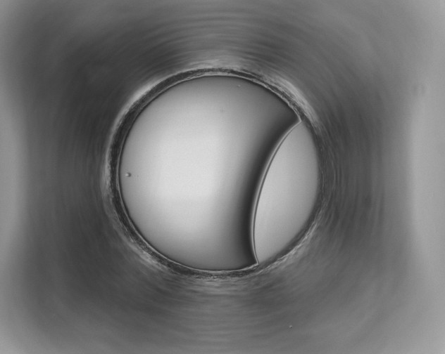 X0000112200780200908071242