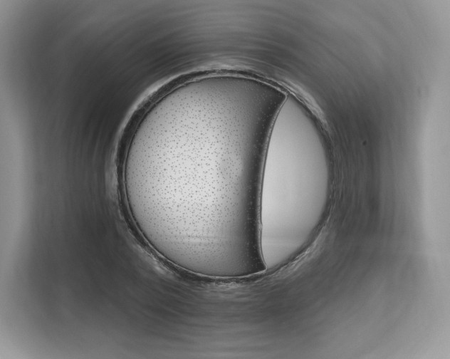 X0000112200784200908071242
