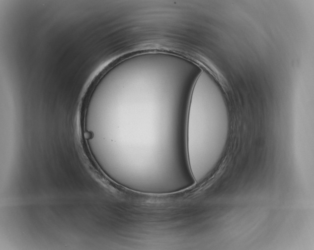 X0000112200788200908071242