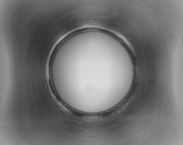 X0000112200791200908071242