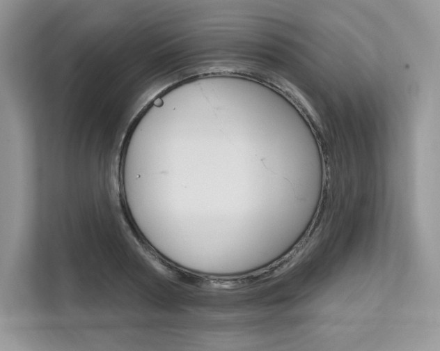 X0000112200794200908071242