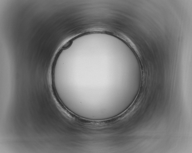 X0000112200795200908071242