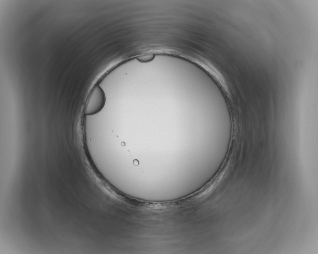 X0000112200806200908071242