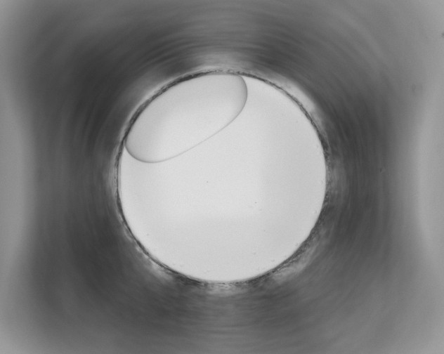 X0000112200807200908071242
