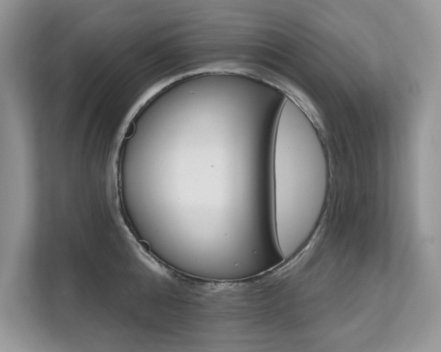 X0000112200808200908071242