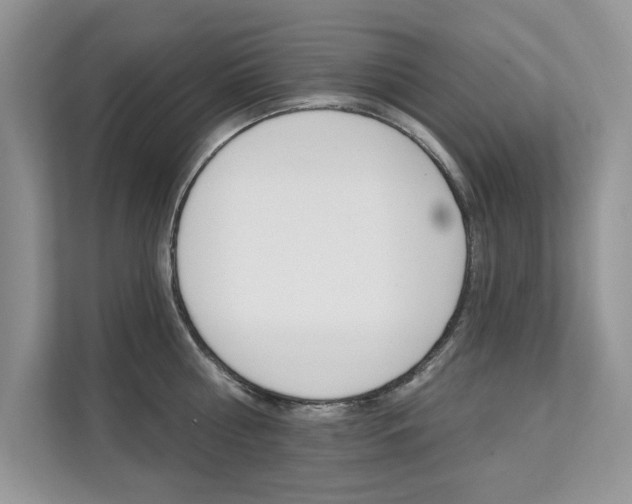 X0000112200810200908071242