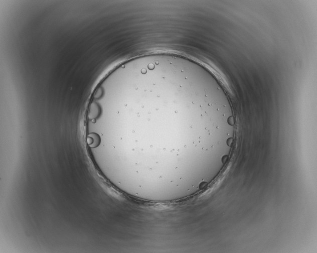 X0000112200814200908071242